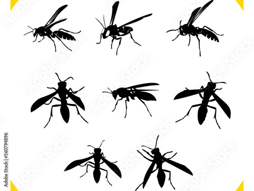 Tableau sur toile flying ants silhouette