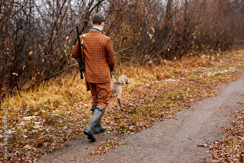 Rear View On Male Walking With dog breed weimaraner in nature, before hunting. male in hat with rifle getting ready for hunting in forest, on autumn season. people, animals, hunting, active lifestyle