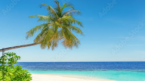 Fototapeta Naklejka Na Ścianę i Meble -  A tropical paradise idyllic beach on Sri Lanka's south coast at Mirissa.