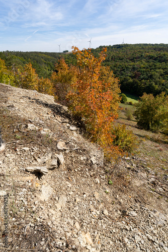 Landschaft im NSG Trockengebiete bei Machtilshausen,  Landkreis Bad Kissingen, Unterfranken, Franken, Bayern, Deutschland photo