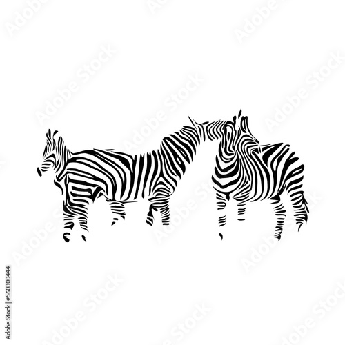 sketch of a zebra drawing with a transparent background