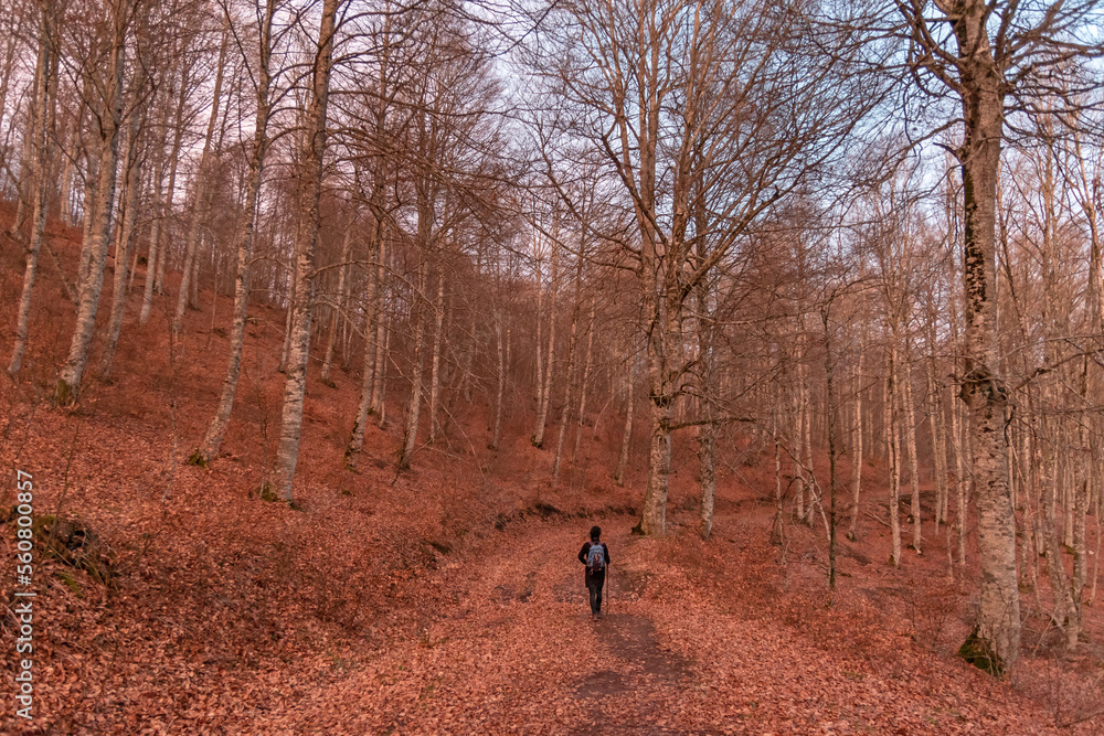Going down the mountain golden hour in winter Going down the mountain golden hour in winter