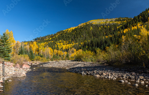 Golden Fall Foliage on Dolores RIver in Southern Colorado