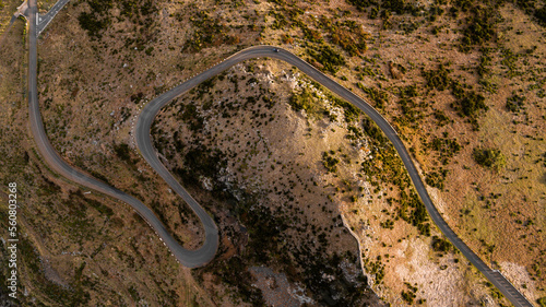 Aerial drone view of a serpent road on a forest top view. Green forest from above.  © Mood