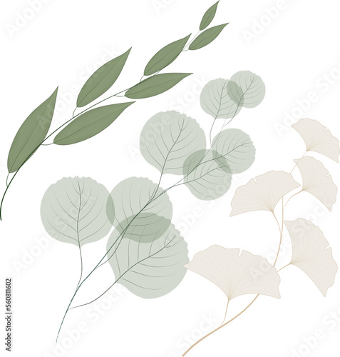 color, origami, natural, backdrop, light, geometric, Three branches of leaves of different plants