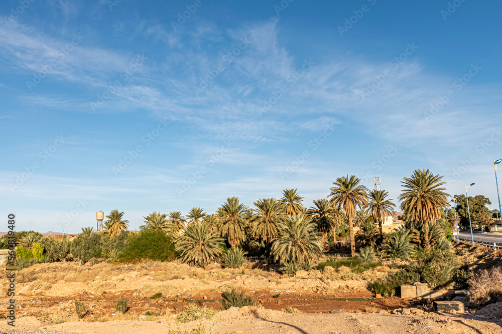 Oasis in Oued Melias, Beni Ounif in Bechar, Saoura. Sahara Desert of Algeria with a dry river, palm trees and a high metallic water tank, electric posts and a road bridge in a sunny cloudy blue sky.