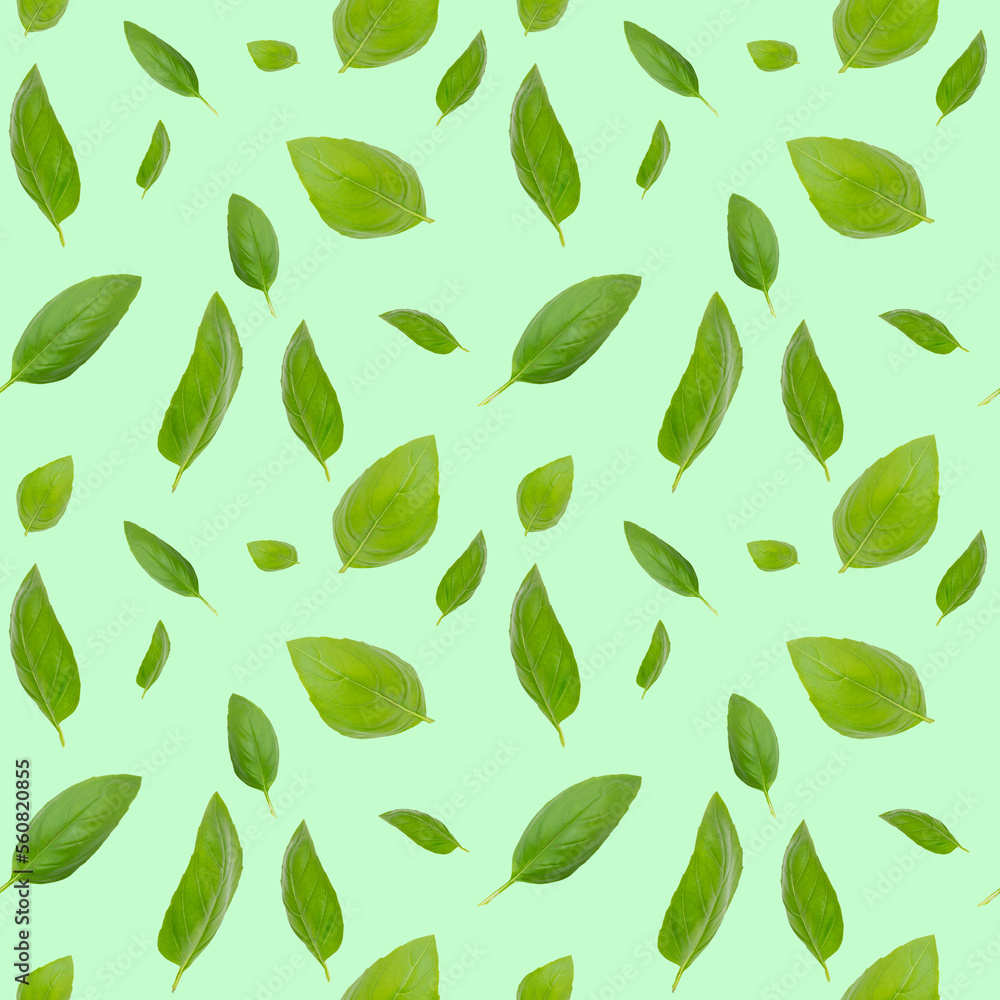 Seamless pattern with leaves. Basil leaves on a green background. Seamless pattern with leaves. Basil leaves on a green background.