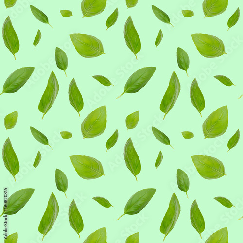 Seamless pattern with leaves. Basil leaves on a green background.
