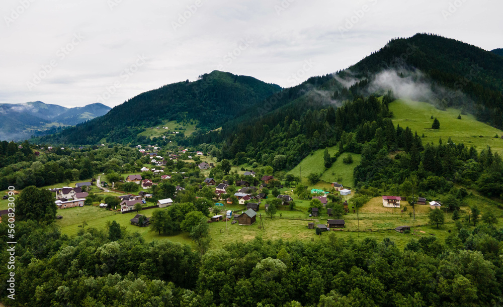 Traditional ukrainian houses in mountain village .  Rural landscape with buildings, trees .
