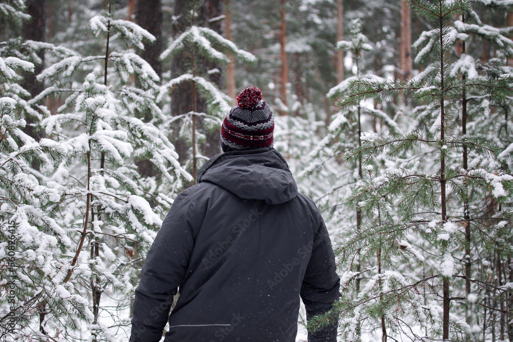 a man in a winter forest with his back to the camera. a man in a winter forest with his back to the camera.
