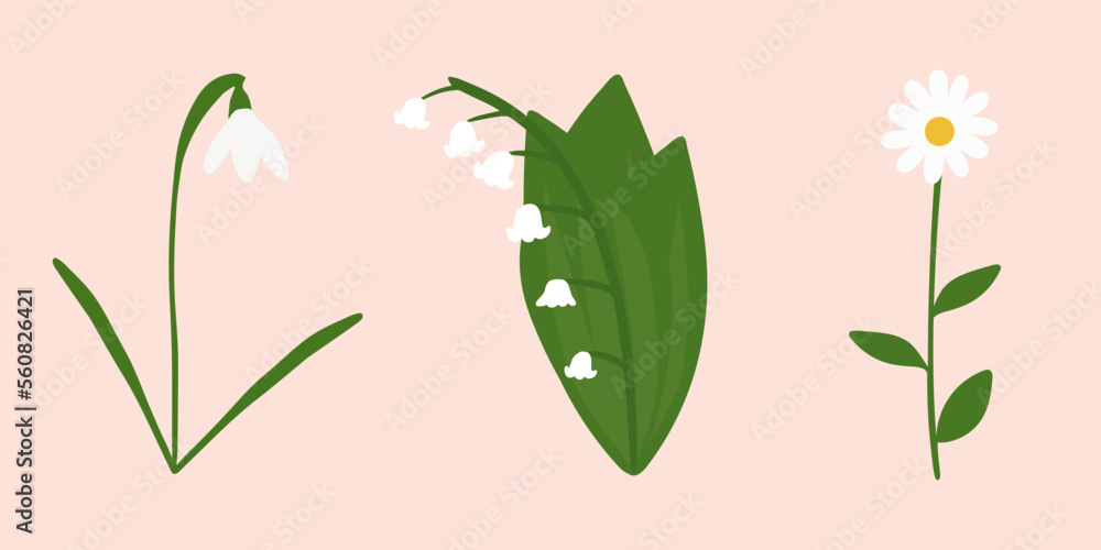 Fototapeta premium Set of first spring flowers in flat style. Snowdrop, lily of the valley and chamomile hand drawn