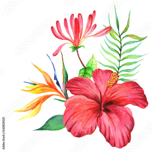 Watercolor hibiscus flower and leaves isolated on white background.