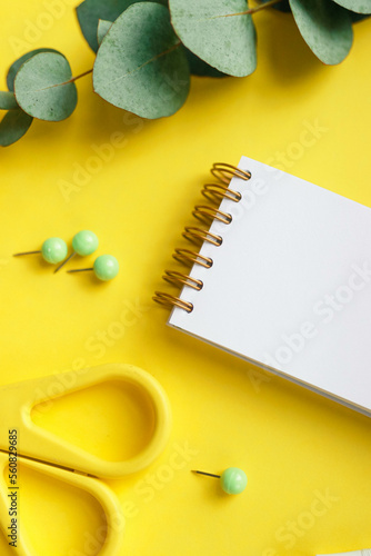 Paper notebook on a yellow background and eucalyptus, stationery concept
