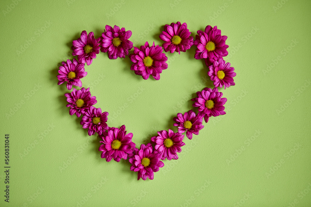 Beautiful flowers composition. pink chrysanthemums pattern, spring and summer flowers on green background. Flat lay, top view, copy space. blossom, flora concept. in heart shape