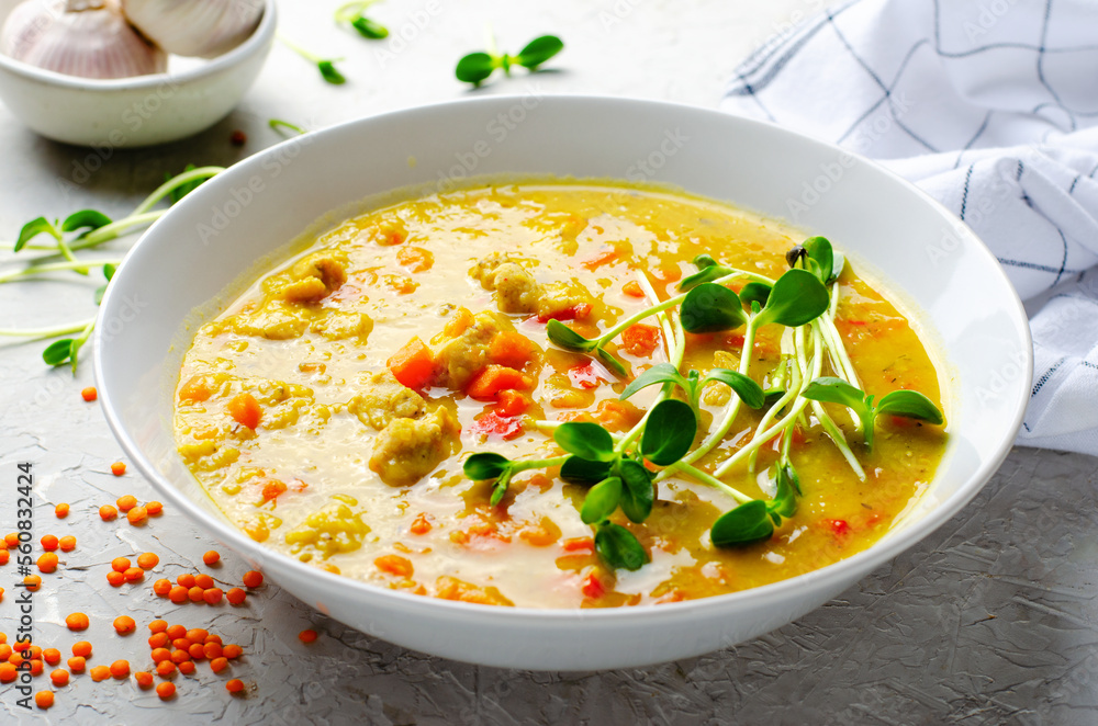 Lentil Soup, Homemade Vegetable Soup with Chicken and Herbs on Bright Background, Healthy Eating