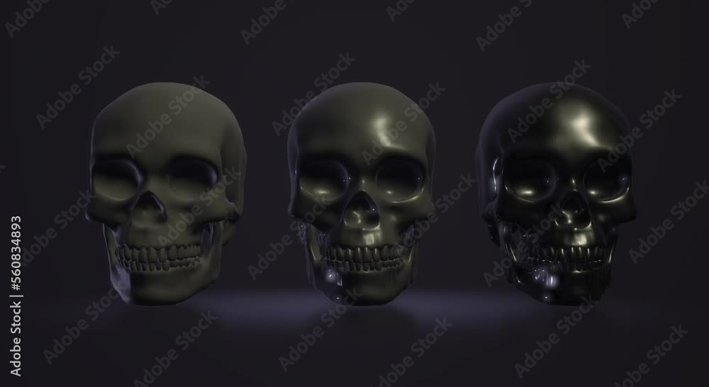 skeleton skull, human skeleton skull, human