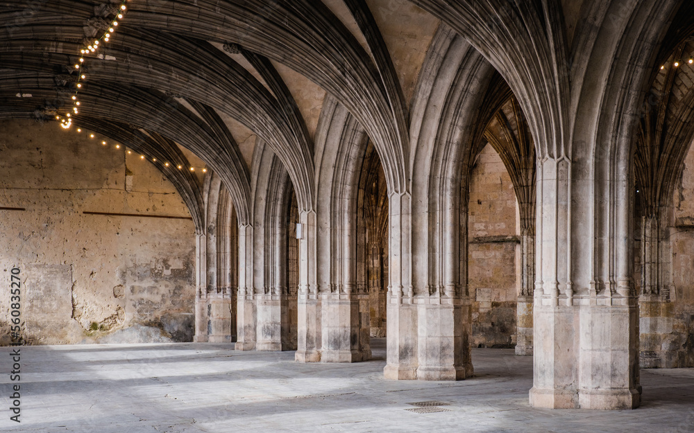 The incredible gothic cloister of St Pierre Cathedral in Condom in the south of France (Gers)