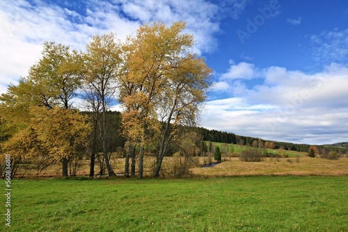 of natural meanders of river "Tepla Vltava" ("Warm Moldau") in the area of "Vltavsky Luh" in the National park Sumava. 