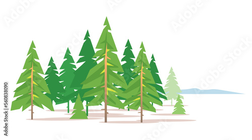 Spruce forest on white background in a simple geometric form, green triangular spruce with truncated branches in simple colors stylization