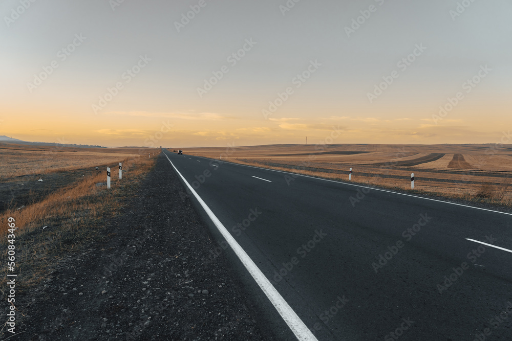 Fototapeta premium Asphalt road going through the fields