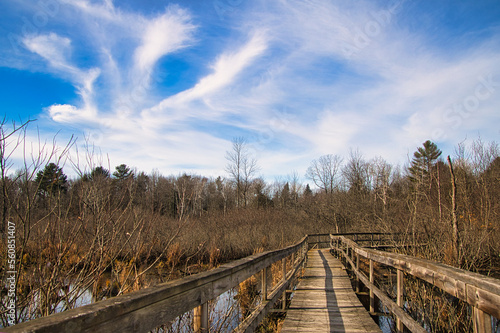 Under a partly cloudy blue sky on a late Autumn day in Wisconsin, a boardwalk along the Ice Age Trail passes through a swamp and into a forest of bare trees. © Dave