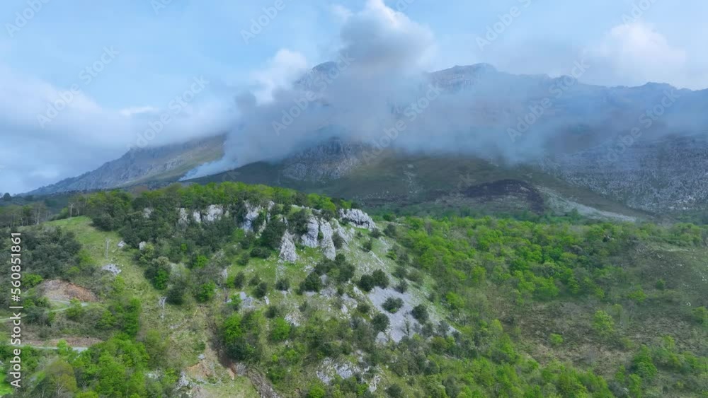 Controlled burning to generate pasture for cattle. Town of Rocías. Hills of the Ason Natural Park. Soba Valley, Cantabria, Spain, Europe Controlled burning to generate pasture for cattle. Town of Rocías. Hills of the Ason Natural Park. Soba Valley, Cantabria, Spain, Europe