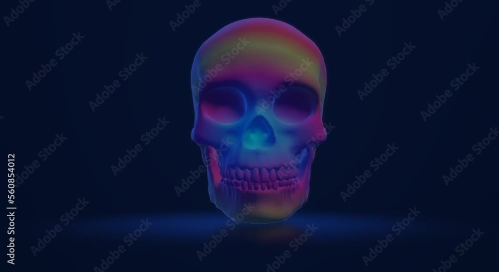 skeleton skull, human skeleton skull, human