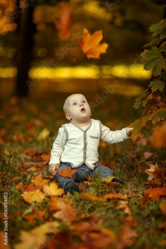 a small child sits in autumn yellow leavesa small child sits in autumn yellow leaves