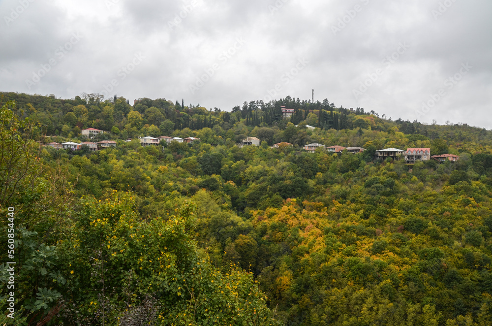 Row of the houses are perched on a hill covered with colorful autumn trees. Sighnaghi, Kakheti region, Georgia 