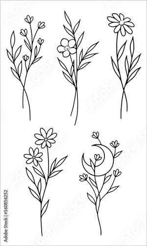 Stem flowers black and white outline floral moon vector lineart SVG
