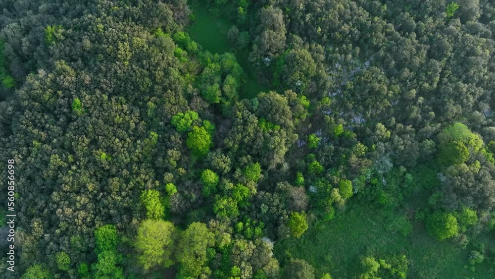 Spring landscape seen from a drone in Valle. Ruesga Valley. Hills of the Ason Natural Park. Cantabria, Spain, Europe Spring landscape seen from a drone in Valle. Ruesga Valley. Hills of the Ason Natural Park. Cantabria, Spain, Europe
