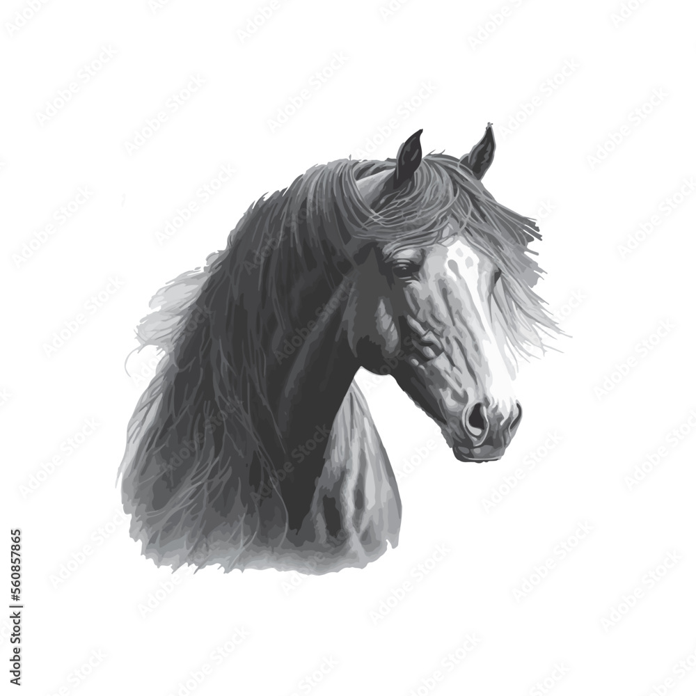 Vetor de Portrait of a horse. Graphic, black white realistic drawing of