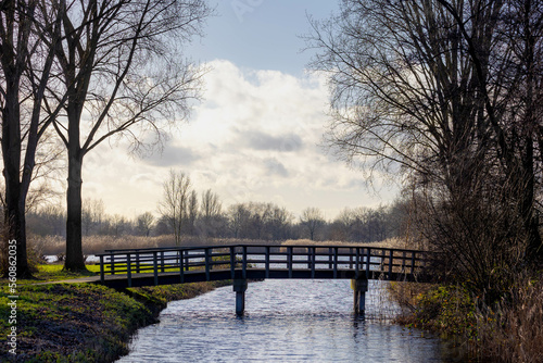 Selective focus of wooden bridge in winter with sunlight, Small canal or ditch on the lake with blare tree and water reeds, Typical landscape of flat and low land polder in countryside, Netherlands.