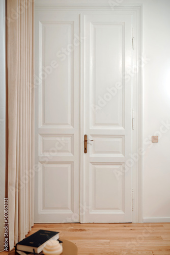 Stylish white wooden doors in fancy apartment, luxury estate