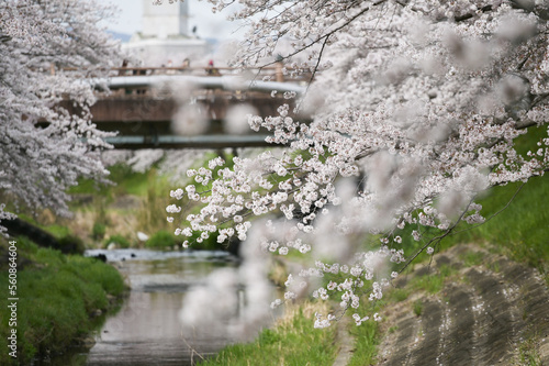 waterfall in the park