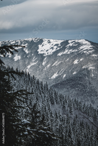 snow covered mountains © olha_danyliuk