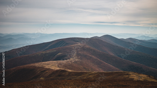 landscape in the morning