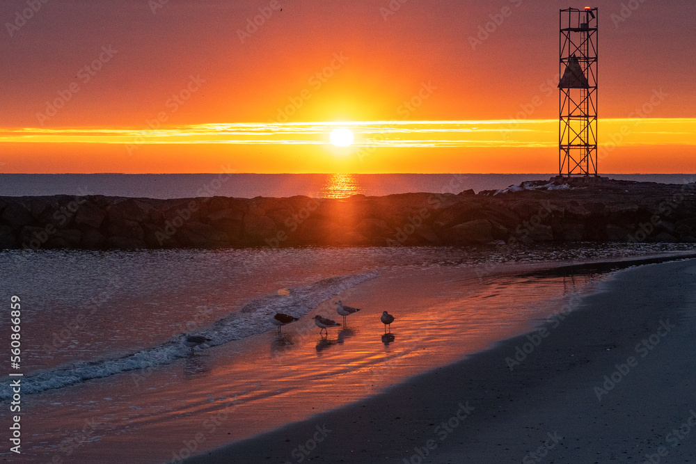 Avon by the Sea, New Jersey, United States:  A flock of seagulls by the waters edge at sunrise.