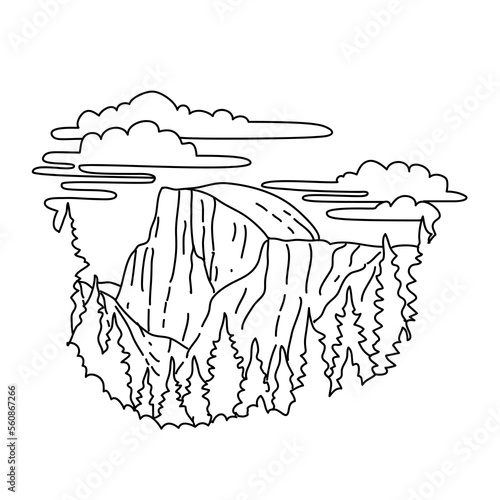 Mono line illustration of Half Dome on the eastern end of Yosemite Valley in Yosemite National Park,  California, United States done in black and white monoline line drawing art style.
 photo