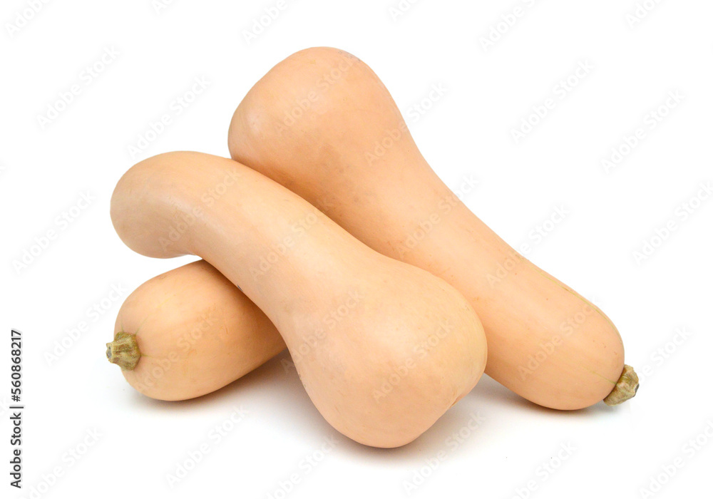 Butternut squash and slices on white background Butternut squash and slices on white background