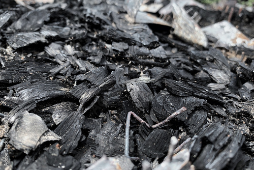 Focus on the burnt wood charcoal thrown to the ground with debris from the phenomenon, the tones draw attention to the black, white and gray in the photograph.