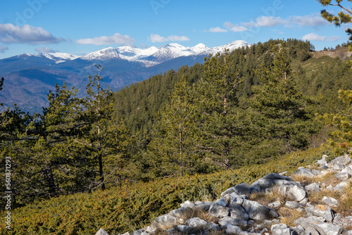 Fototapeta Naklejka Na Ścianę i Meble -  Landscape of Pirin Mountain near Orelyak peak, Bulgaria