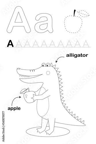 Coloring alphabet for kids. The letter A. Alligator and apple. photo