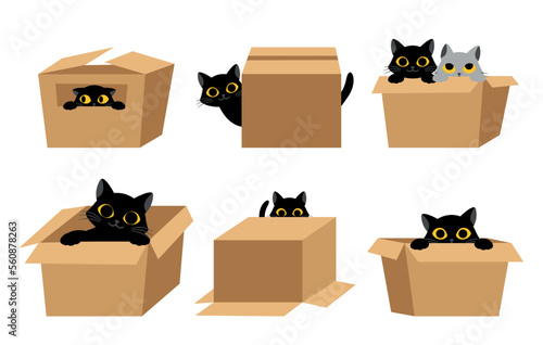 Black cats with box set. Collection of graphic elements for website. Charming and playful animal. Movement and action. Love for animals. Cartoon flat vector illustrations isolated on white background