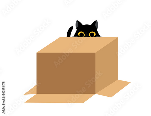 Black cat with box. Kitten peeks out from behind overturned cardboard box. Poster or banner for website. Playful character. Love, care and support for animals. Cartoon flat vector illustration