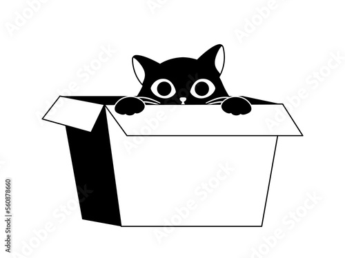 Black cat with box doodle. Sticker for social media and messengers. Education and training. Playful character, comfort and coziness. Logotype for company and branding. Cartoon flat vector illustration