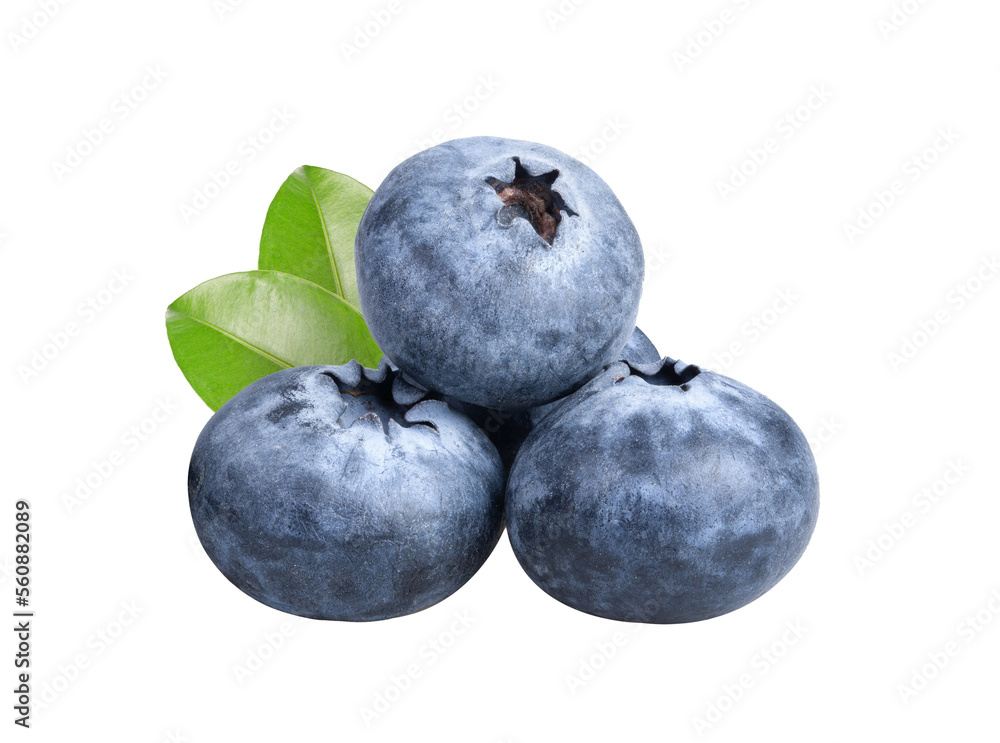 blueberries on transparent png blueberries on transparent png