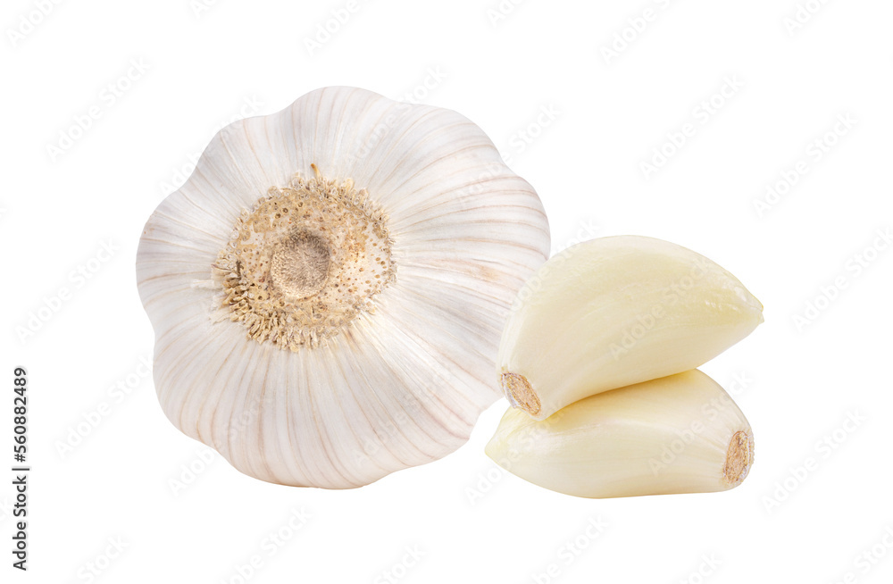 garlic on transparent png garlic on transparent png