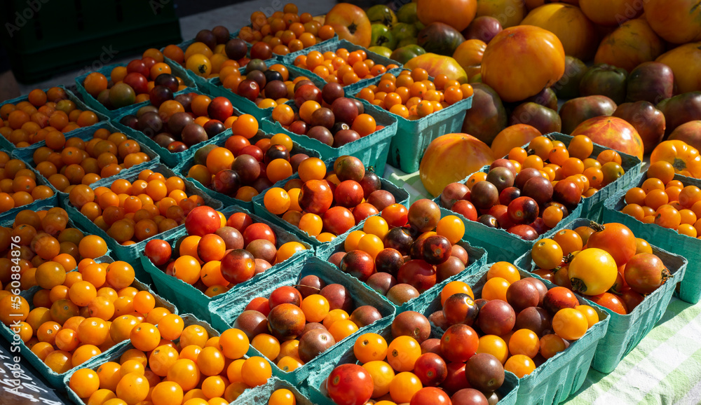 Colorful vegetable at a flea market. They are fresh and sold every weekend at local market. Tomatoes and peppers are both fruit, rich source vitamin A, C, good for skin and eyesight