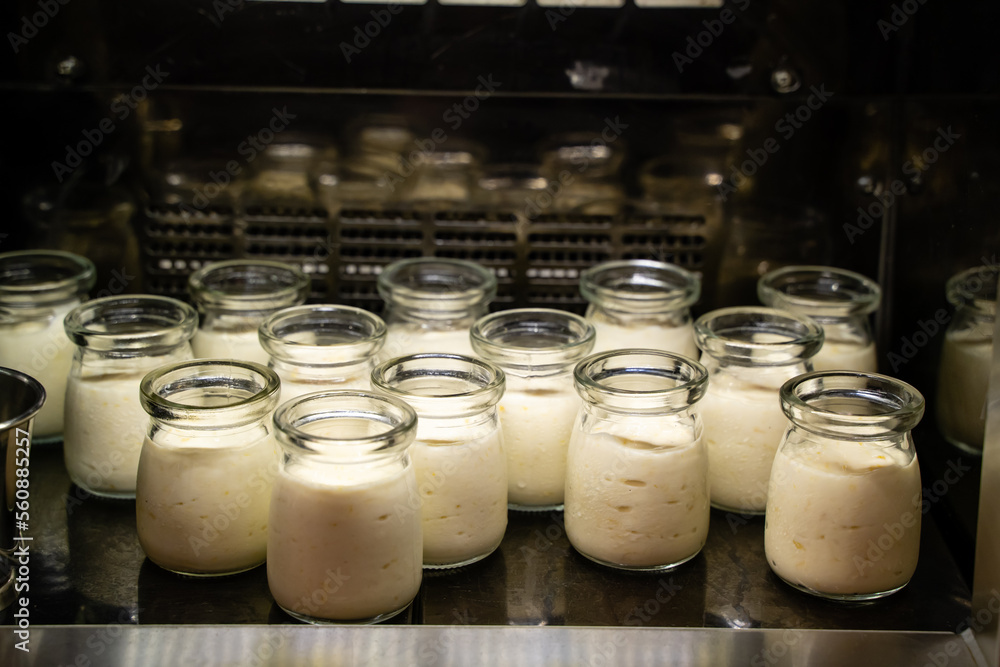 Small glass jars filled with fresh milk, a simple and wholesome pleasure. Enjoy the creamy, smooth texture and delicious taste in every sip. Small glass jars filled with fresh milk, a simple and wholesome pleasure. Enjoy the creamy, smooth texture and delicious taste in every sip.